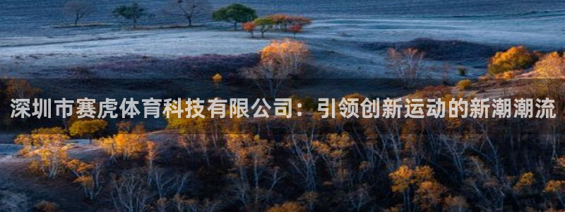 深圳市赛虎体育科技有限公司：引领创新运动的新潮潮流