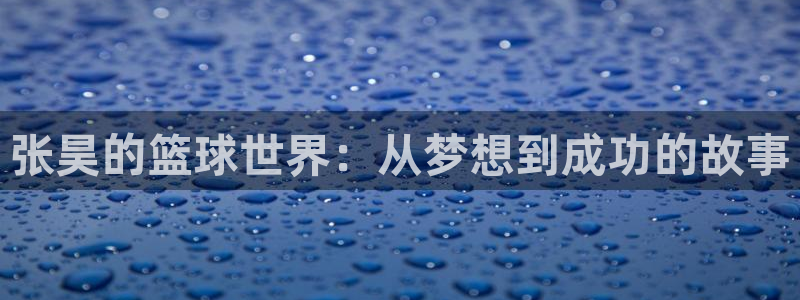 张昊的篮球世界：从梦想到成功的故事