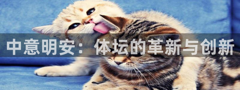 中意明安：体坛的革新与创新